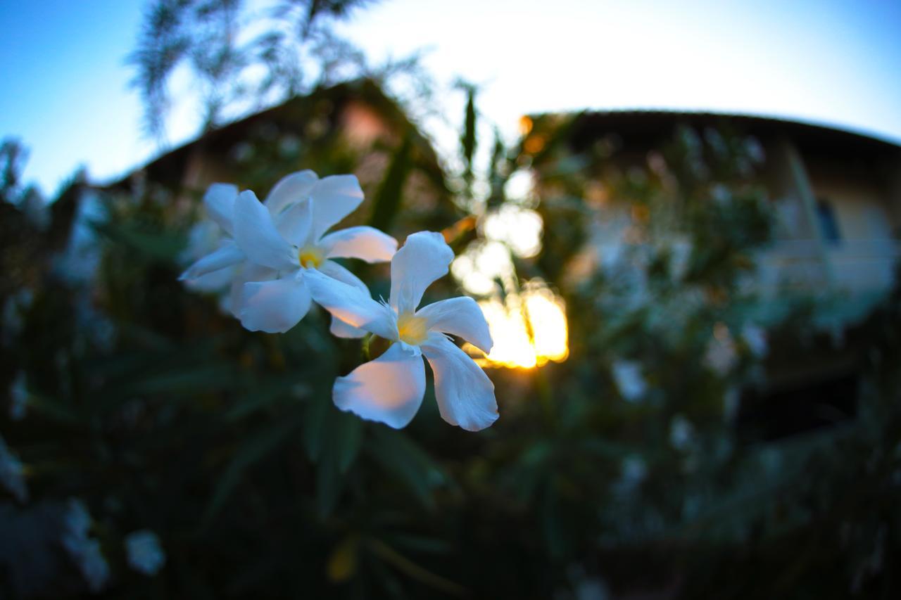 Caruaru Park Hotel ภายนอก รูปภาพ