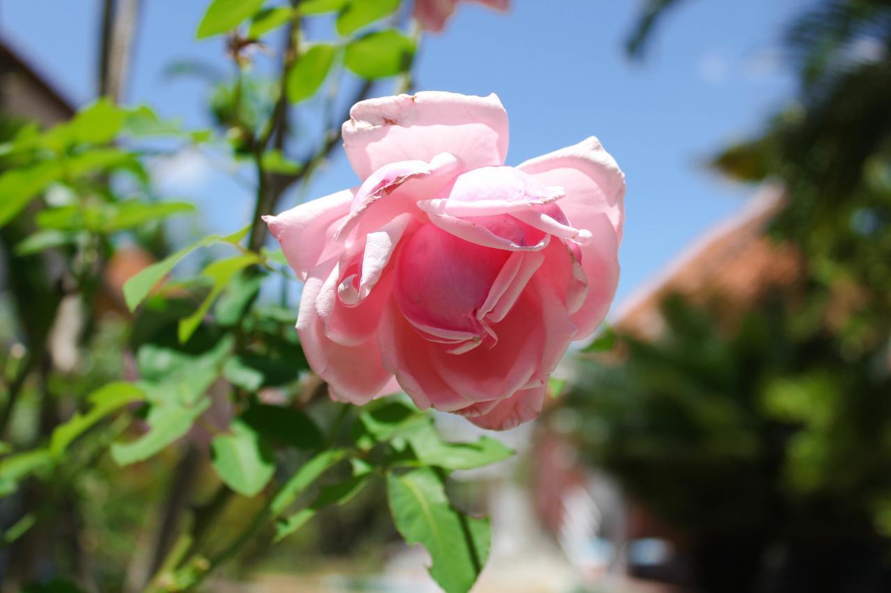 Caruaru Park Hotel ภายนอก รูปภาพ